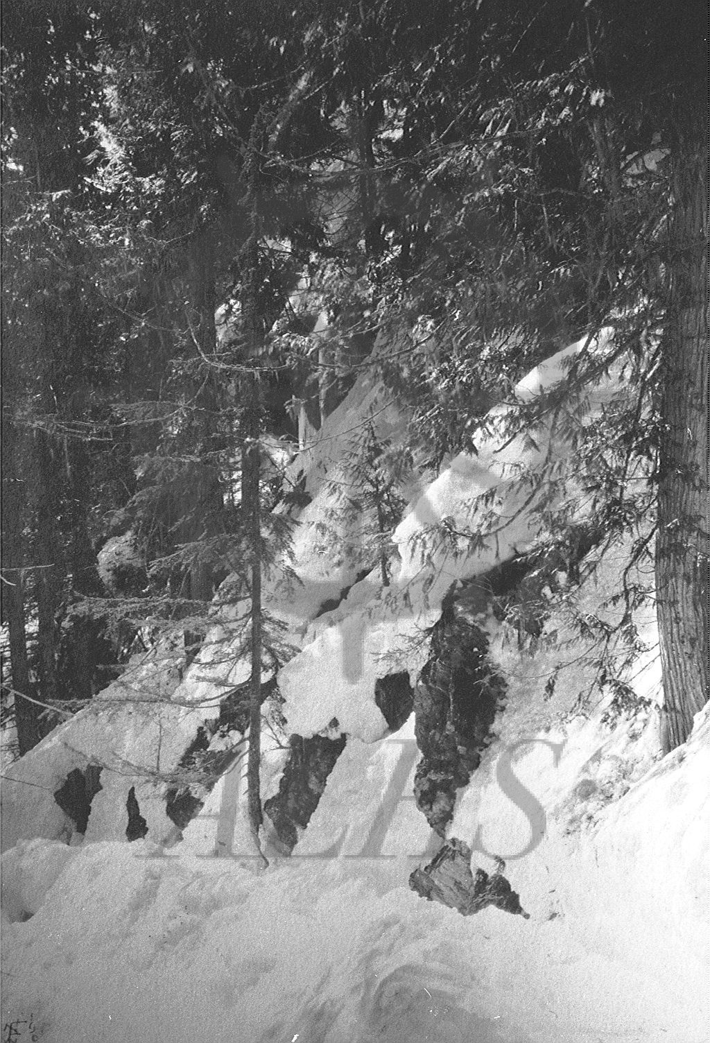 2014.003.7611 Broadview Trail up True Fissure, 1907 | Arrow Lakes ...