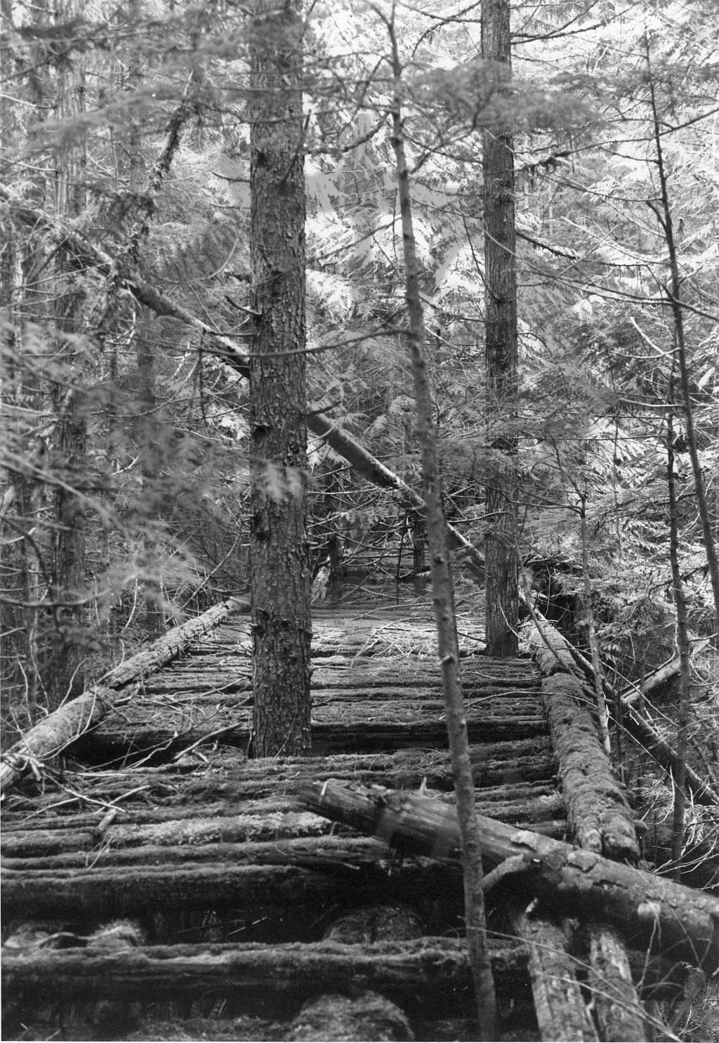 2019.030.2.4 The 1906 trestle with ties intact. | Arrow Lakes ...