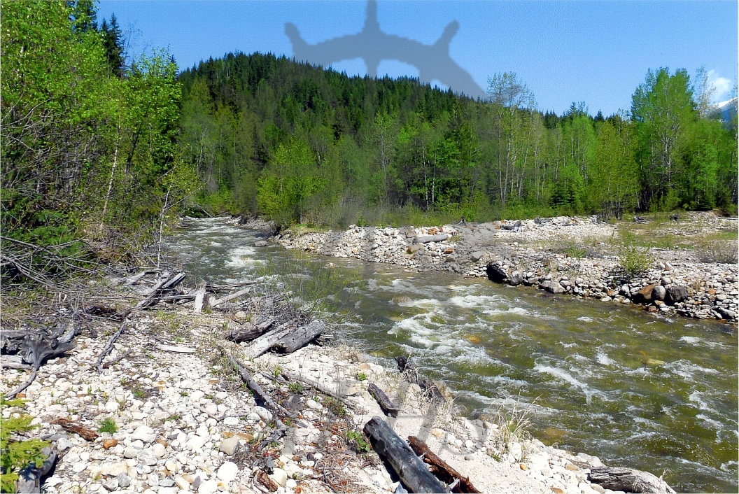 2022.024.002.23 Cranberry Creek shoreline Arrow Lakes Historical Society