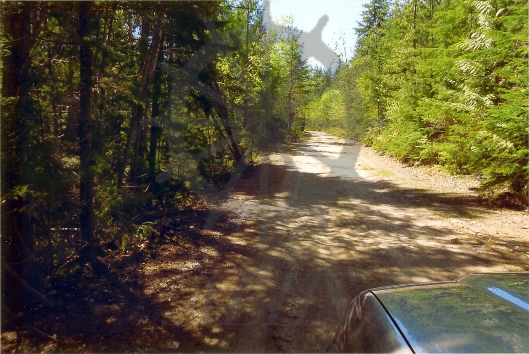 2022.024.002.28 Old Sidmouth Road Arrow Lakes Historical Society