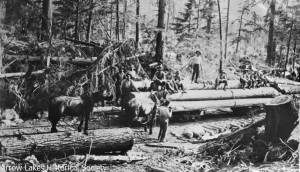  In spite of the short run to the lake company officials found the use of a railway to be a great method of getting their logs to water. A team of horses replaced the usual little steam engine used for moving the car.